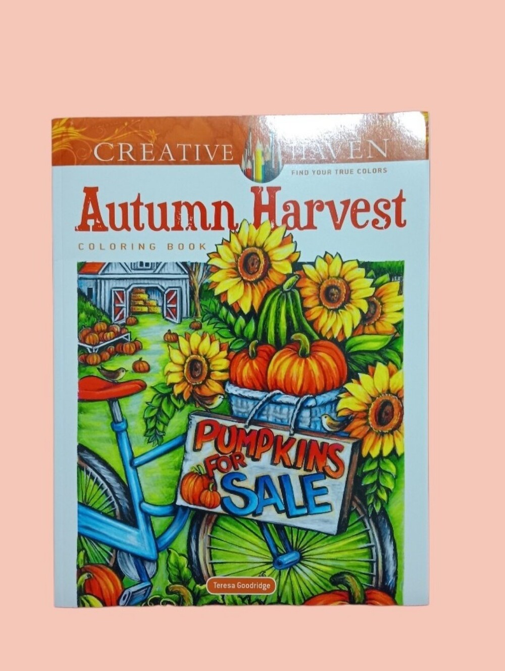 FALL Adult Coloring Book Autumn Harvest